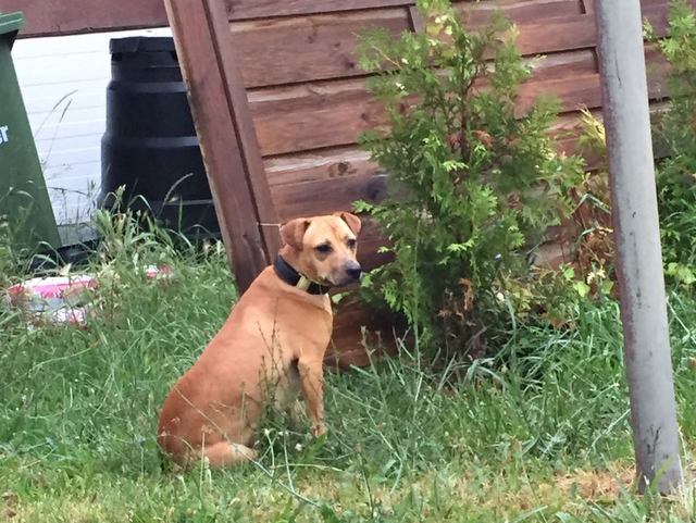 1 2017 07 02 PHOTO 00000010