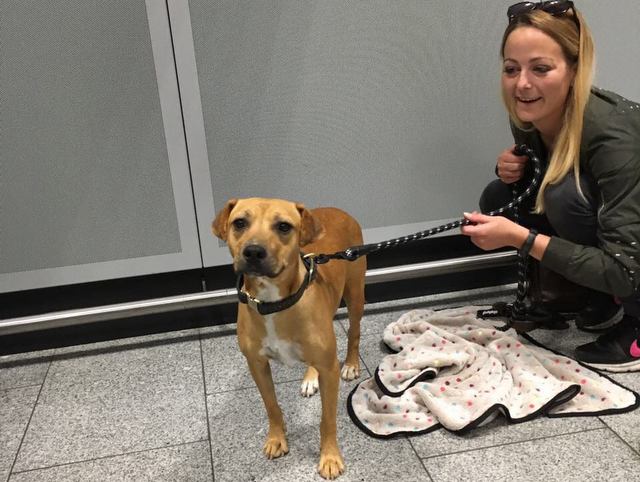 1 2017 07 02 PHOTO 00000011