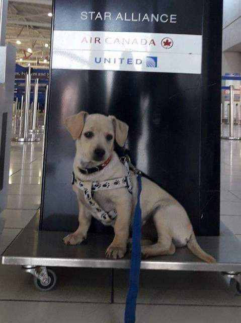 1 cid 4FD8D1165F494C46A79E7EC3459372AAEURP191 PROD OUTLOOK