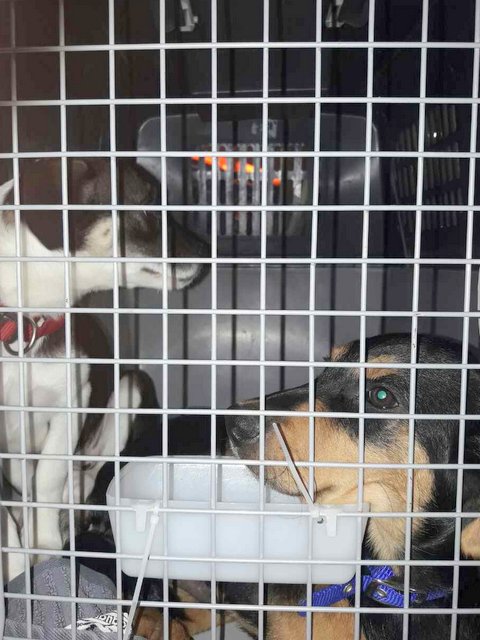 1 image 0 02 05 5a88b018a914d4d0130720f4b5342c71153246db84933cb2a57313ed28be4703 V