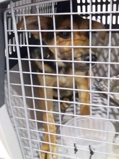 1 20170510 031129 resized