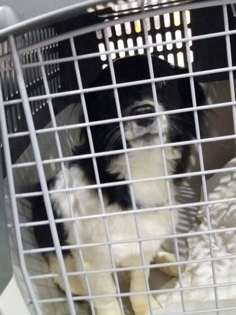 1 20170510 031204 resized