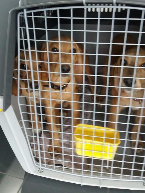 1 20170312 121723 resized