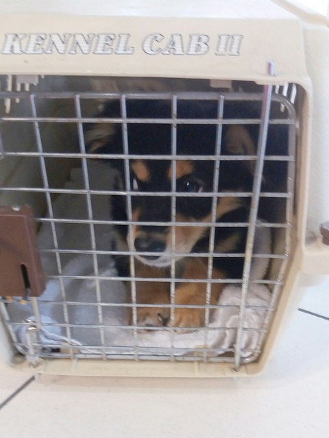 1 20170312 121858 resized