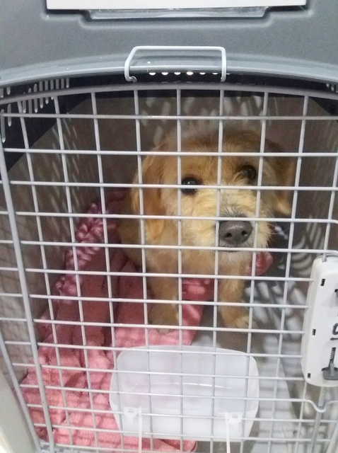 1 20170113 034846 resized