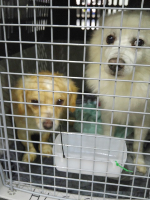 1 20170113 035913 resized