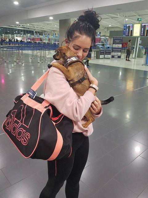 1 22447301 830008503827630 1296183591 n