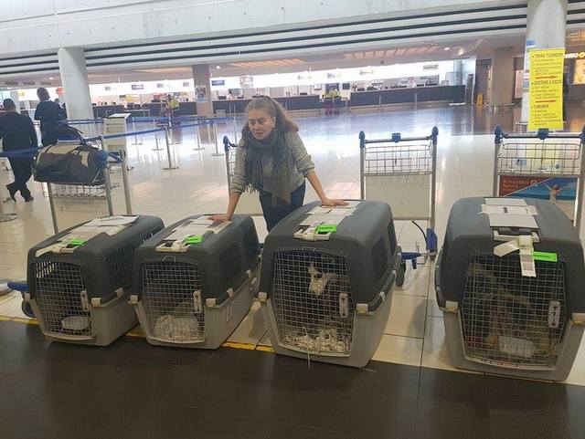 1 16754258 708048466023635 1119601954 n