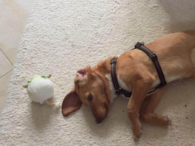 1 2017 02 18 PHOTO 00000008