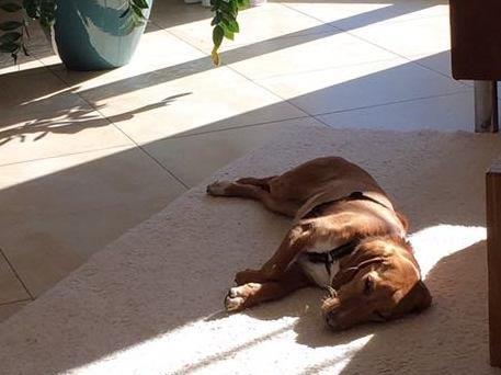 1 2017 02 18 PHOTO 00000011