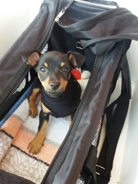 1 20170514 150336 resized