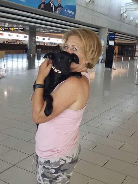 1 FB IMG 1494868414816