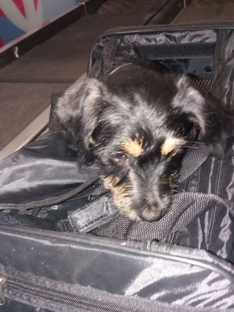 1 IMG 20171119 WA0007