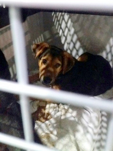 1 20170421 013322 resized