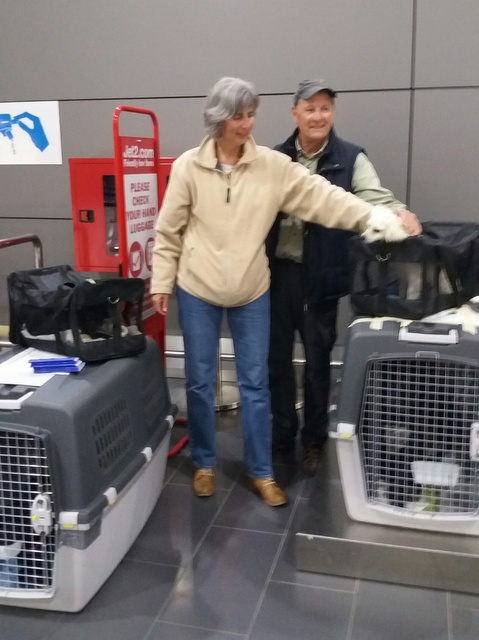 1 20170421 013636 resized