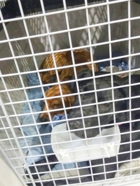 1 20170421 014717 resized