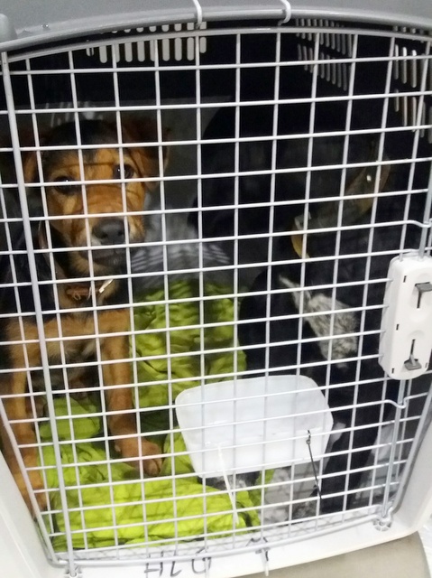 1 20170421 014906 resized