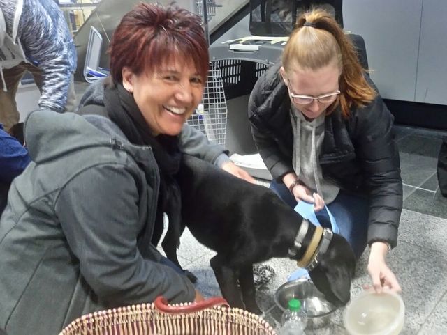 1 IMG 20170421 WA0010