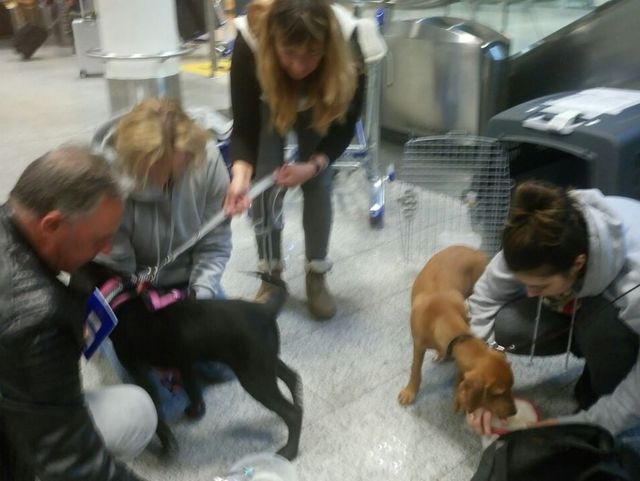 1 IMG 20170421 WA0013