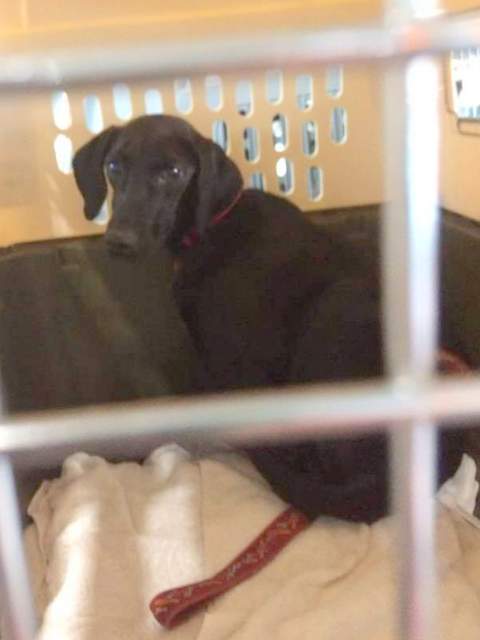 1 FB IMG 1495443974397