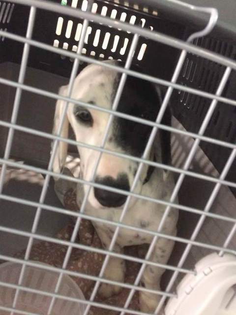 1 FB IMG 1495443981007