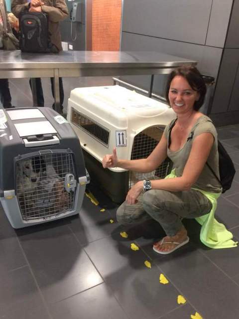 1 FB IMG 1495444041503