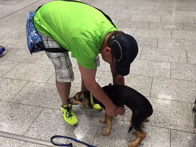 1 IMG 20170524 WA0000