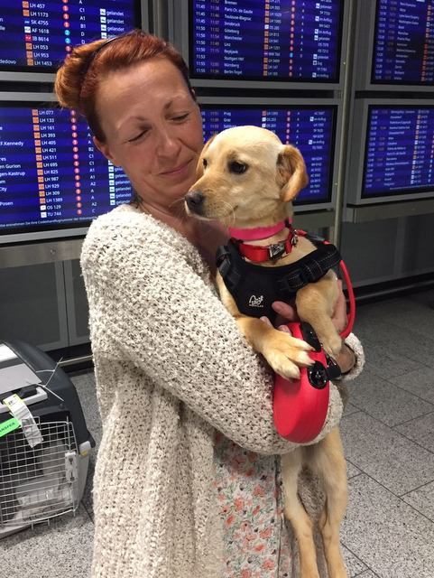 1 IMG 20170524 WA0002