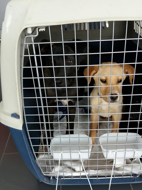 1 20170423 135436 resized