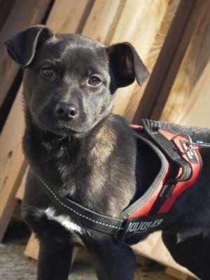 thumb Tito3 1 von 1 001