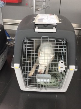 1 21919377 10211067117216384 1188919320 n