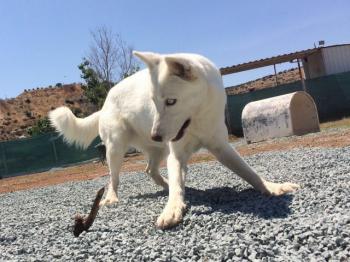 thumb 1 cid 15c5927298458706d324