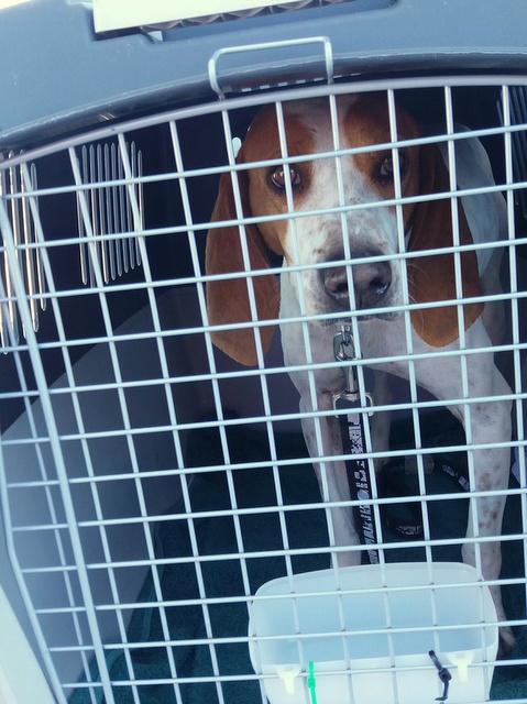 1 20170326 132802 resized