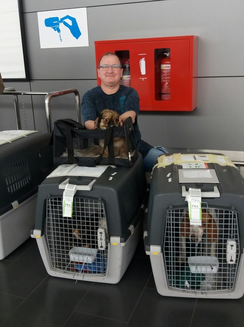 1 20170326 141418 resized 001