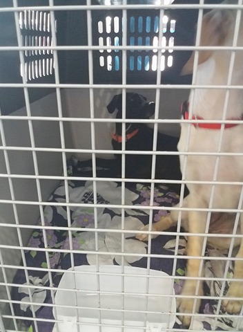 1 21148200 10207738452938767 1633345392 n