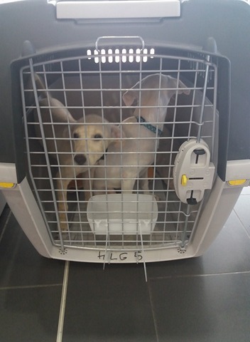 1 21151178 10207738453618784 60321107 n