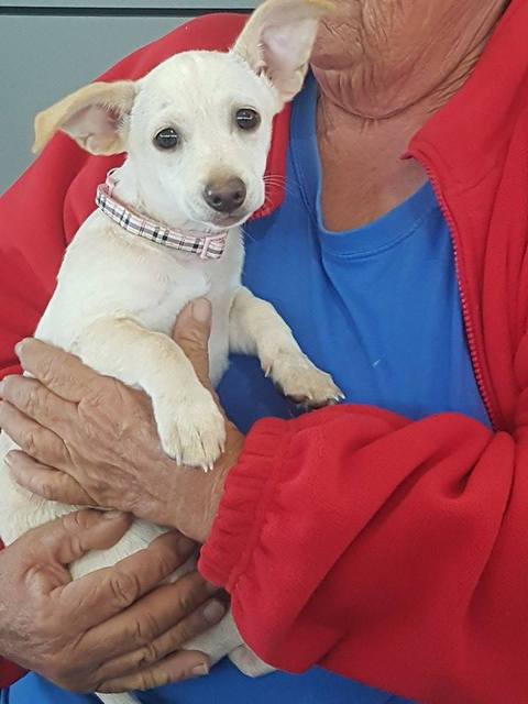 1 22854950 837215466440267 1924473453 n