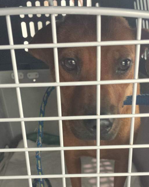 1 received 1349912141725449