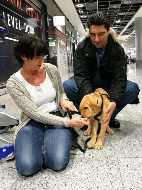 1 IMG 20170130 111939