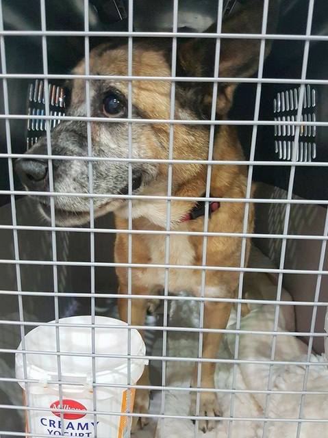 1 23114647 838964376265376 578709133 n