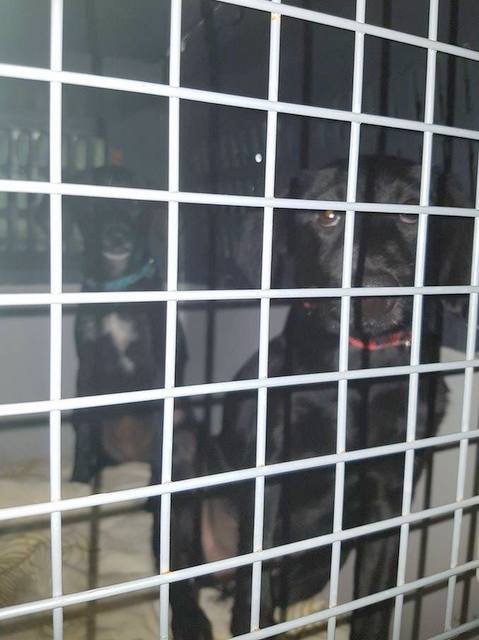 1 23140196 838968916264922 63235290 n