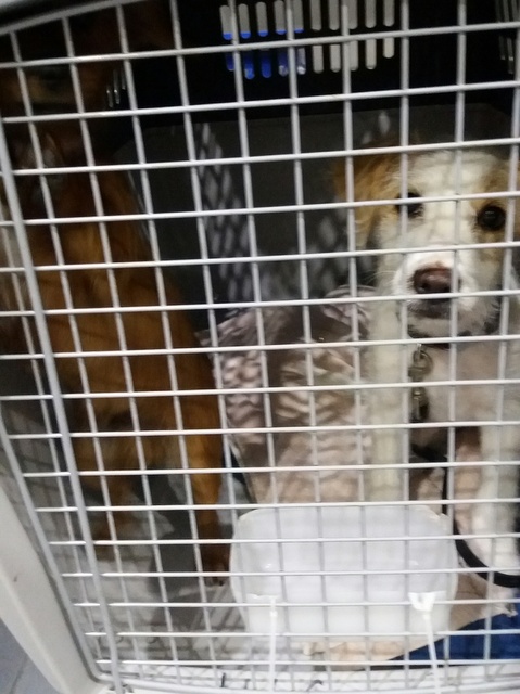 1 20170308 033924 resized