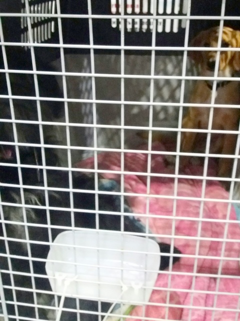 1 20170308 033950 resized