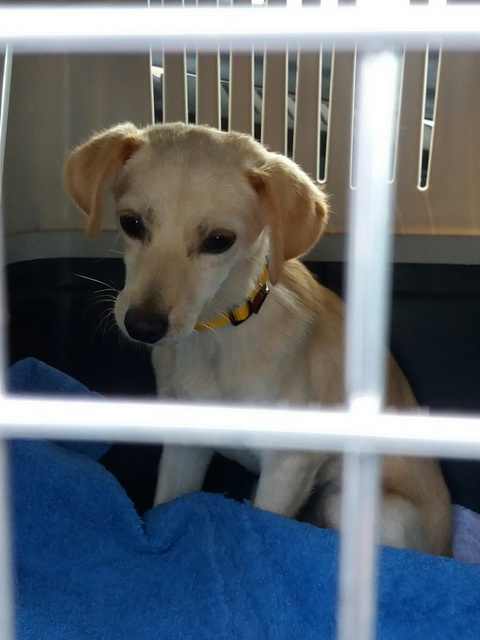 1 20170821 082643 resized