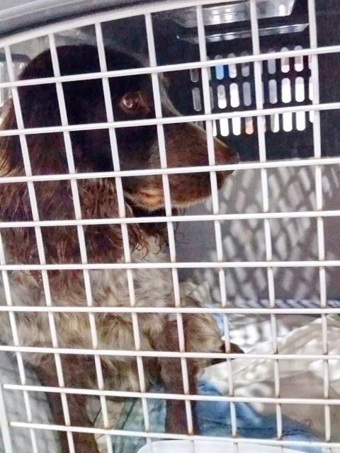 20170108 040551 resized