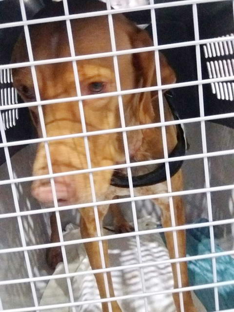 20170108 040654 resized