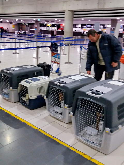 20170108 040748 resized