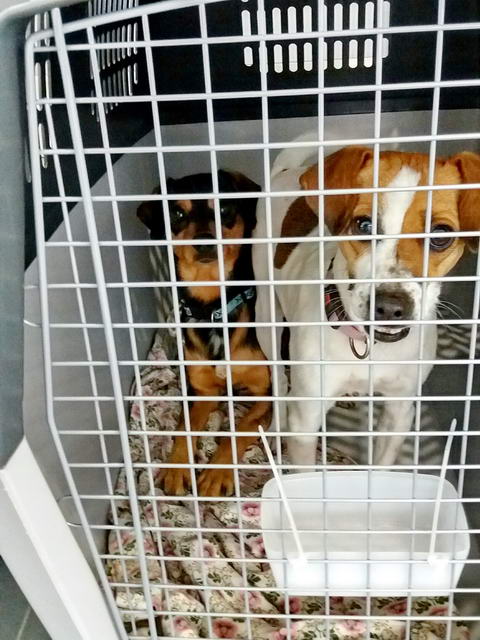 20170118 151232 resized