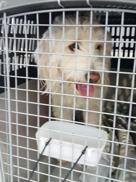 20170118 151251 resized