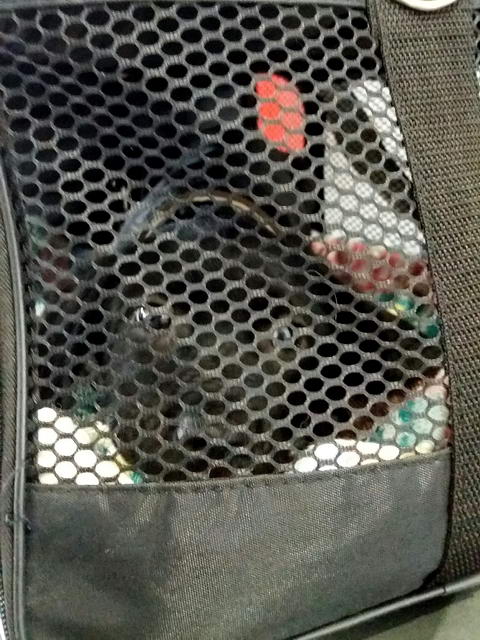 20170118 153002 resized